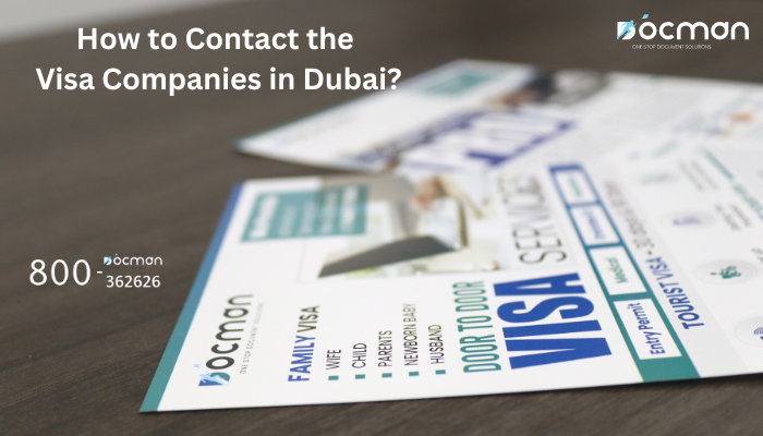 How to Contact the Visa Companies in Dubai?
